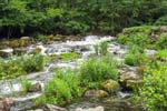 TyrestaNationalPark 3574