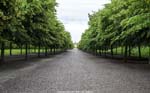 Drottingholm 3604