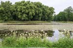 Drottingholm 3611