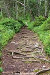TyrestaNationalPark 3583
