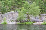 TyrestaNationalPark 3581