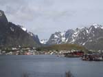 Reine