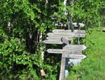 Which way ?
