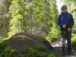Big anthill next to Matthieu