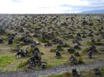 Laufskalavarda: des cairns partout