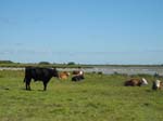 Etang de M�ckelmossen