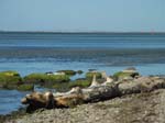 ... la c�te