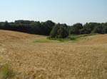 The landscape of Fyn