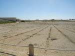 La fortaleza: Rose des vents (43 m)