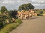 Barrage sur la route