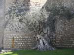 Sous le fort