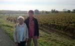 Chinon: Vinodlingar