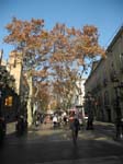 La Rambla, huvudgatan