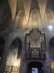 Basilikans insida