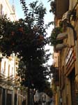 El Poblenou: De gamla kvarteren ...