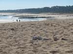La plage de Saint-Denis