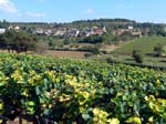 En face de Pernand-Vergelesses