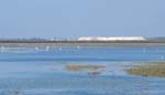 De loin, les Salins de Gireau