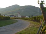 La route des vins ...
