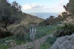 Un petit sentier jusqu� la mer
