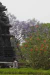 Le temple de Halebid