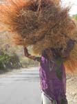 The road from Udaipur to Jodhpur