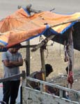 Muzaffarpur: ceci n'est pas pour nous !