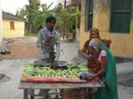Cucumber market