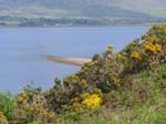 Western Ross