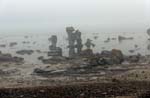 Gamle hamn: Raukar ...
