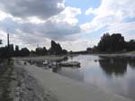 Confluence avec le Danube