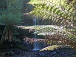 La cascade de Russel