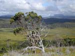Au loin: le parc national Cradle Mountain