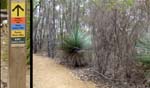 Platypus Waterhole Walk