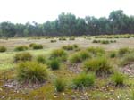 Flinders Chase nationalpark