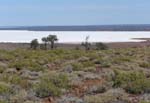 ... ytterligare en saltsj�