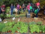 Le march� � Blackheath