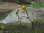 Le Perdana jardin botanique ...