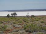 ... ytterligare en saltsj�