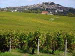 Sancerre