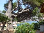 Lokrum