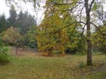Washington Park Arboretum
