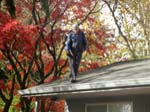 Al sweeps the roof