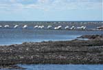�lands s�dra udde