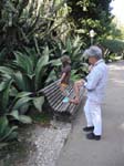 Jardim da Estrela