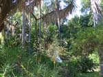 Jardim Bot�nico de Lisboa