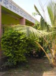 L'�cole Bagoli