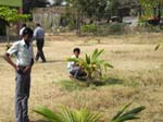 Les �l�ves arrosent les nouvelles plantations