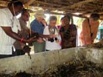 Le vermicompost