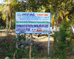 A cot�: une plantation